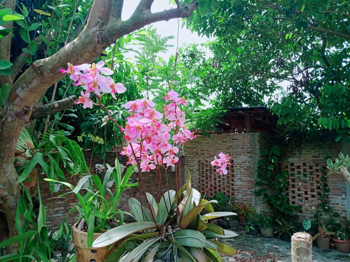 מדאן Bua Guest House מראה חיצוני תמונה