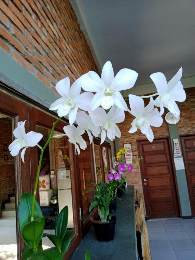 מדאן Bua Guest House מראה חיצוני תמונה