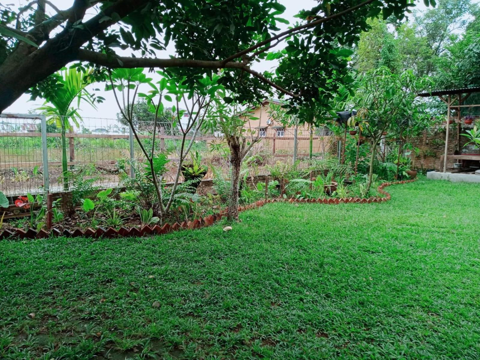 מדאן Bua Guest House מראה חיצוני תמונה